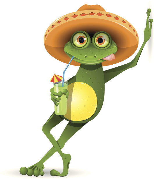 戴墨西哥宽边帽的时髦青蛙图片下载