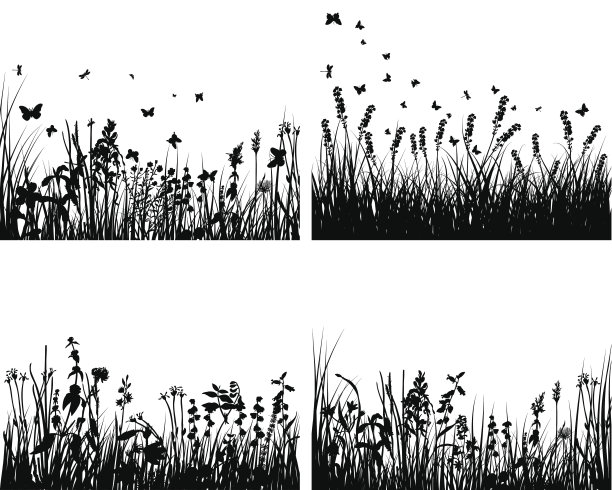 草甸轮廓集图片下载