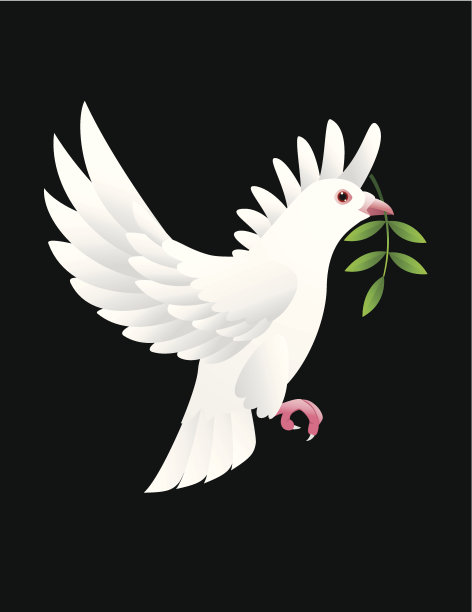 怀特在那里图片下载