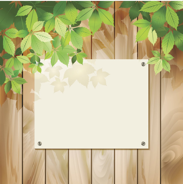 绿色的叶子上有木纹。向量的背景图片下载