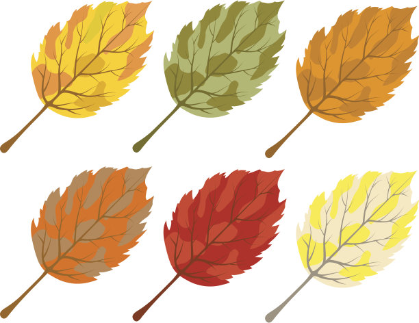 收集色彩斑斓的秋叶图片下载