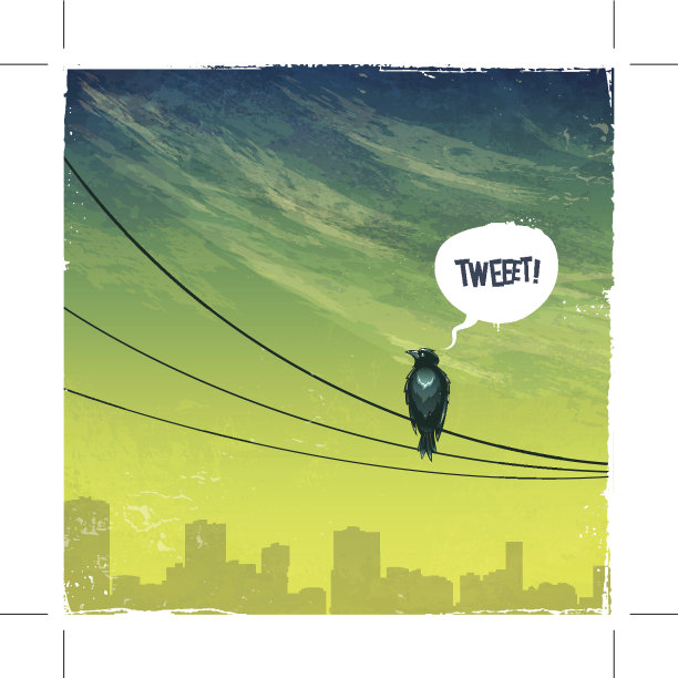 鸟在电线图片下载