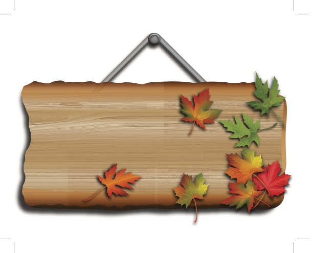 秋天的落叶图片下载