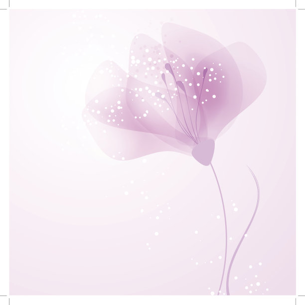 矢量背景与精致的花图片下载