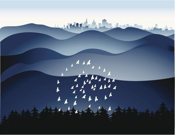 遥远的城市景观与鸟类图片下载