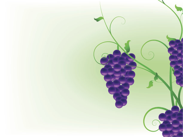 背景,葡萄图片下载