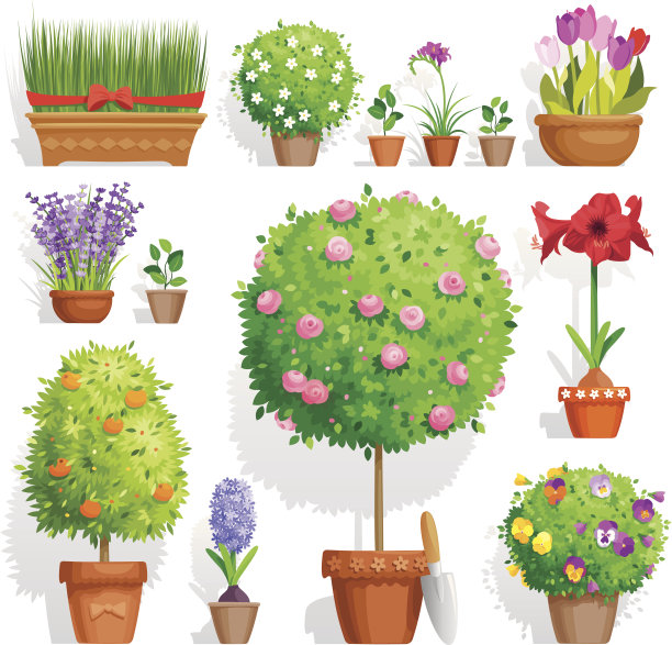 盆栽植物套装图片下载