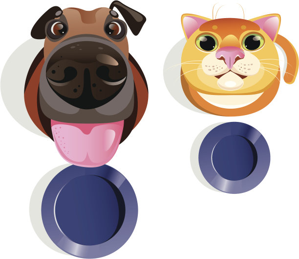 猫和狗图片下载