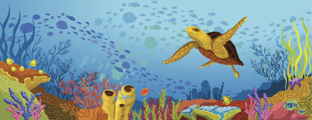 彩色的珊瑚礁和黄色的海龟素材图片