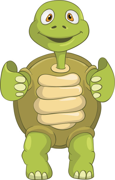 有趣的海龟。酷。图片下载