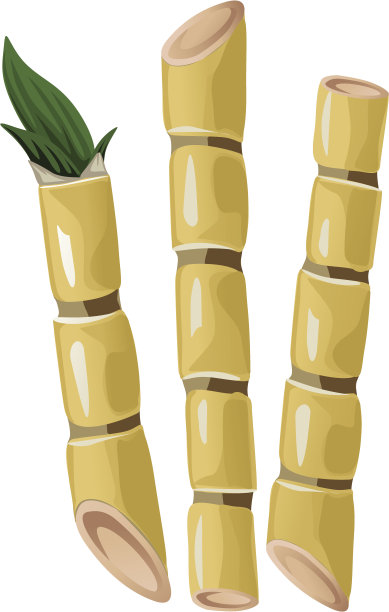 一个动画版的甘蔗图片下载