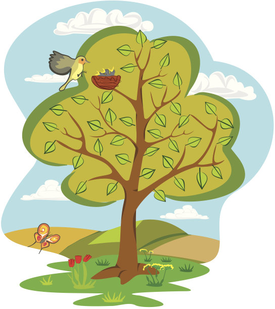 夏天的树-四季图片下载