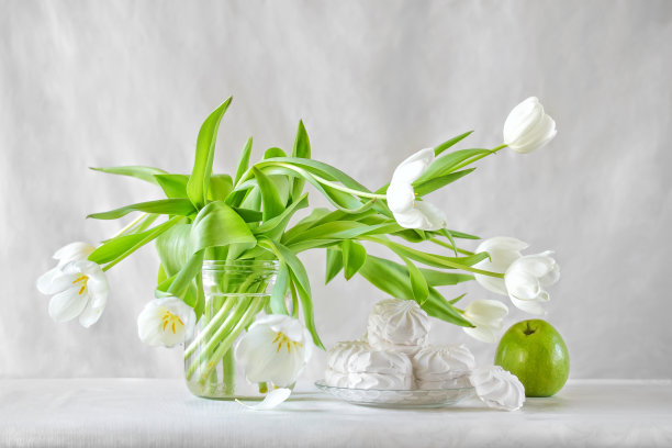 白色郁金香和棉花糖图片下载