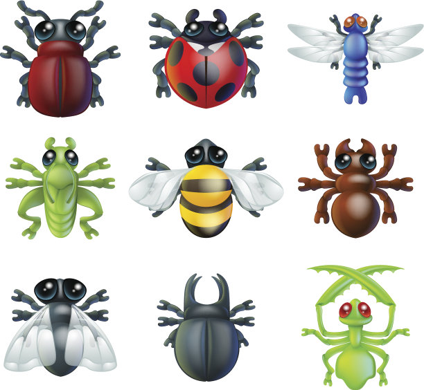 昆虫错误图标图片下载