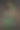 酒与花图片下载