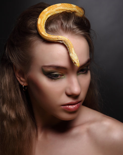 女人和蛇图片下载