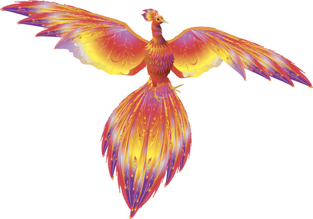 金太阳图片下载