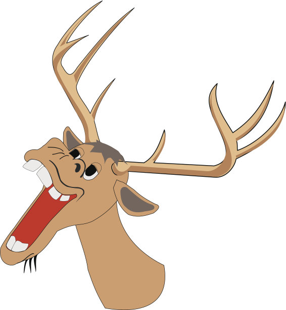 有趣的鹿图片下载