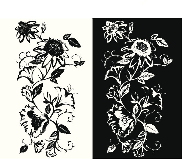 黑白花图片下载