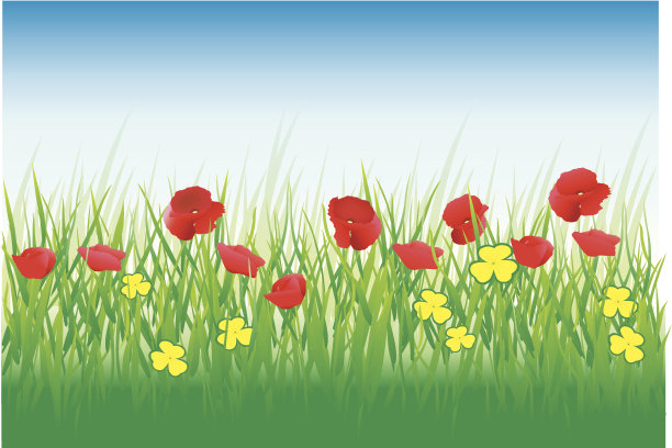 红色的花图片下载