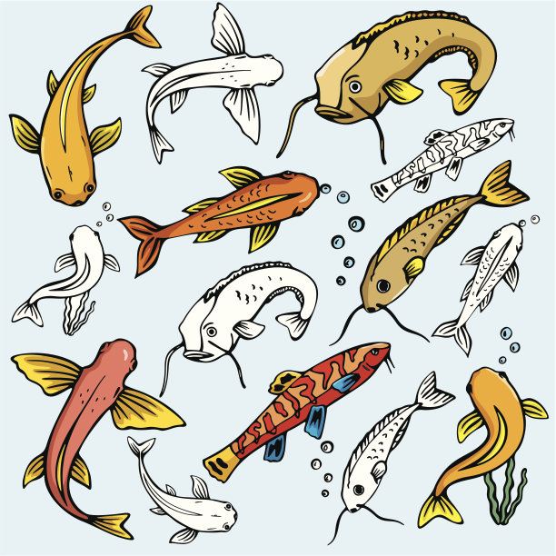 海洋世界IX:鞘鱼(矢量)图片下载