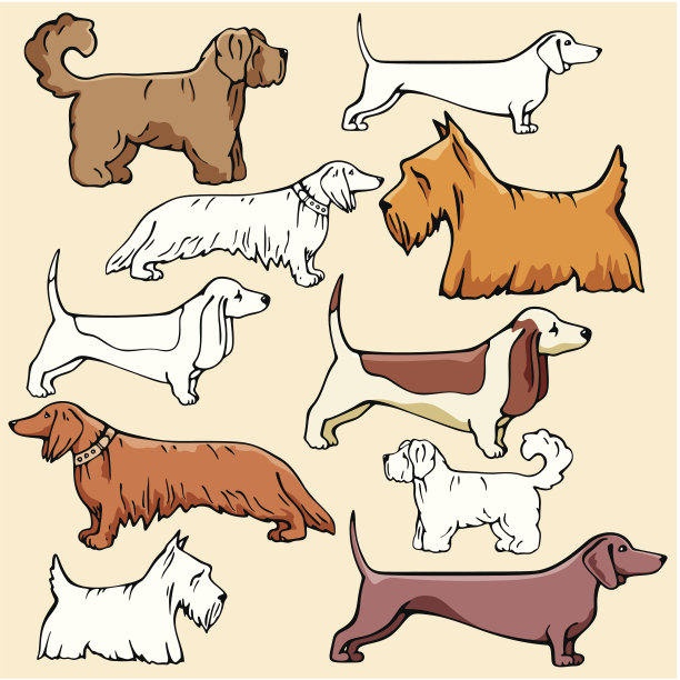 宠物插图XI:狗(媒介)图片下载