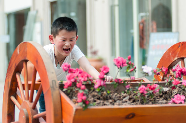 孩子们是快乐的工作图片下载