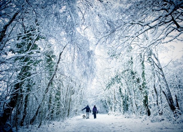 冬季雪场景在卡迪夫塔夫步道图片下载