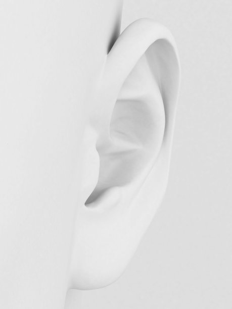 耳朵3 d图片下载