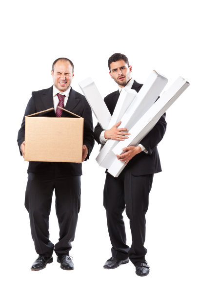 Carryng盒子图片下载