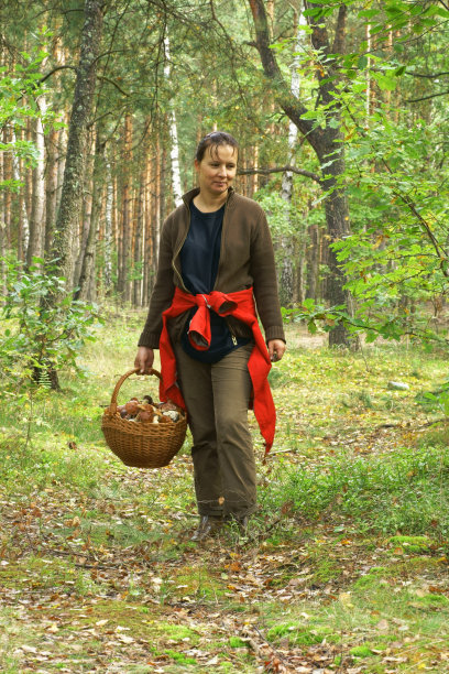 女人挑选蘑菇图片下载