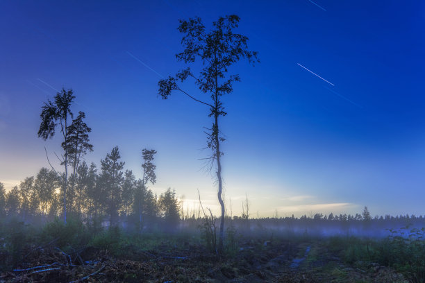 夜间景观图片下载