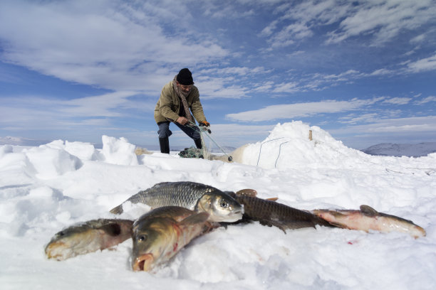 渔夫图片下载