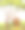狮子在一棵大树下图片下载