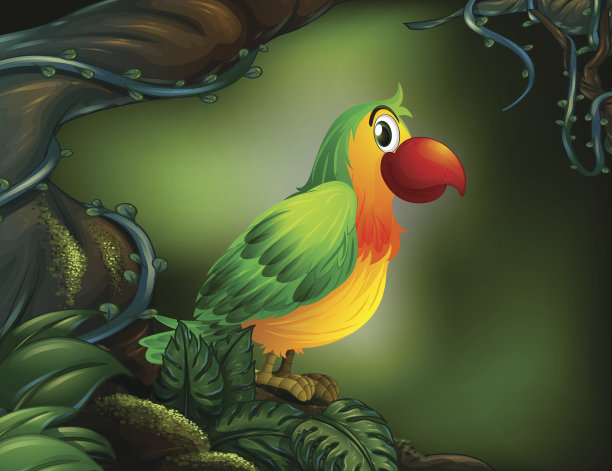 雨林里的鹦鹉图片下载