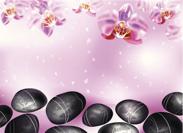 粉红色的背景与温泉石和兰花图片下载