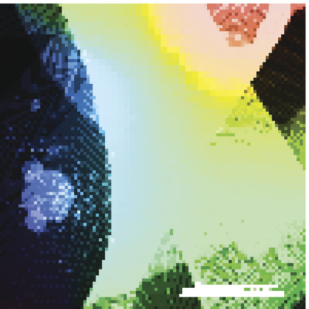 抽象的背景，未来的技术插图图片下载