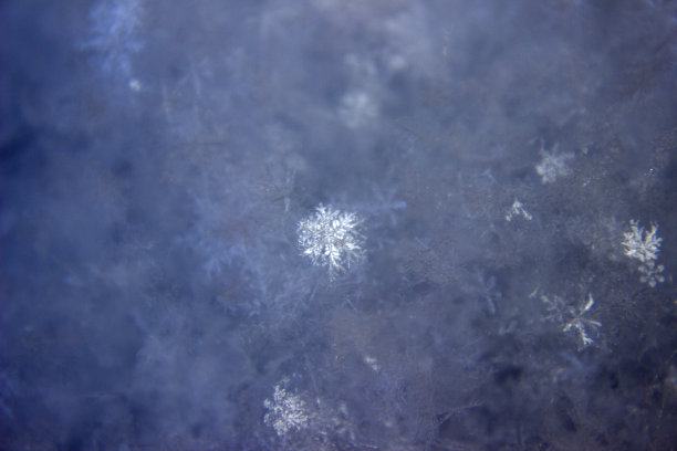 灰色的雪花图片下载