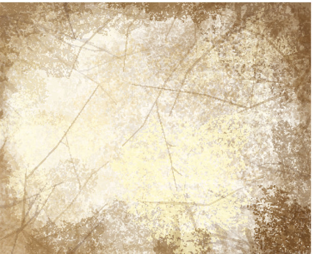 旧皱纸的矢量。图片下载