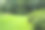 植物园的草坪图片下载