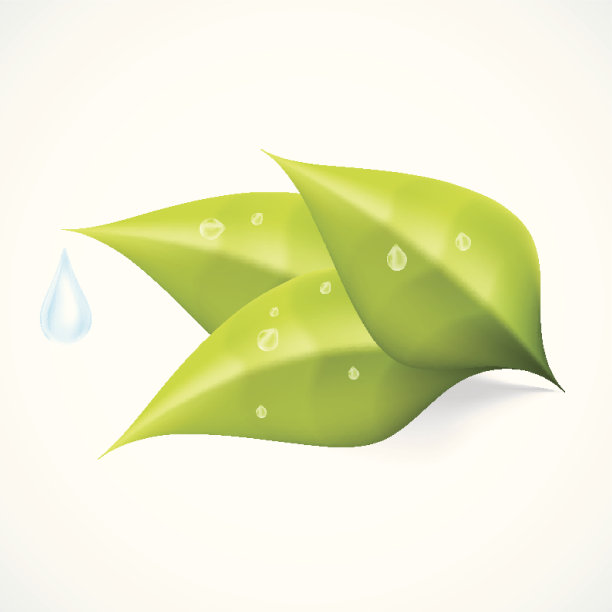 生态系统概念图片下载