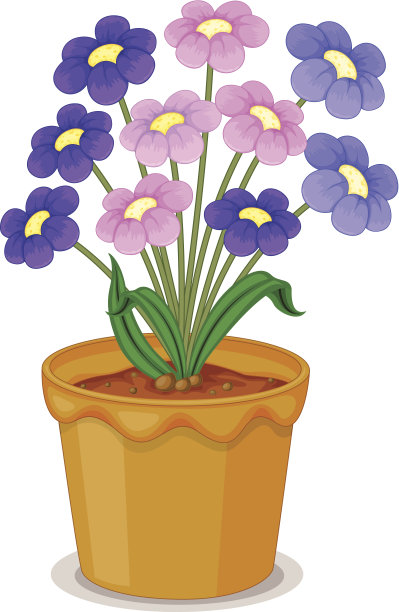 花和花盆图片下载