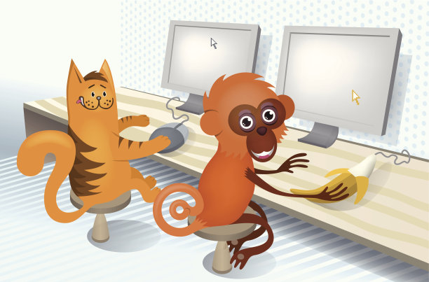 猫和猴子素材图片