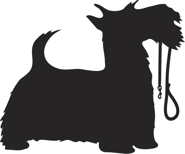 狗狗和皮带图片下载