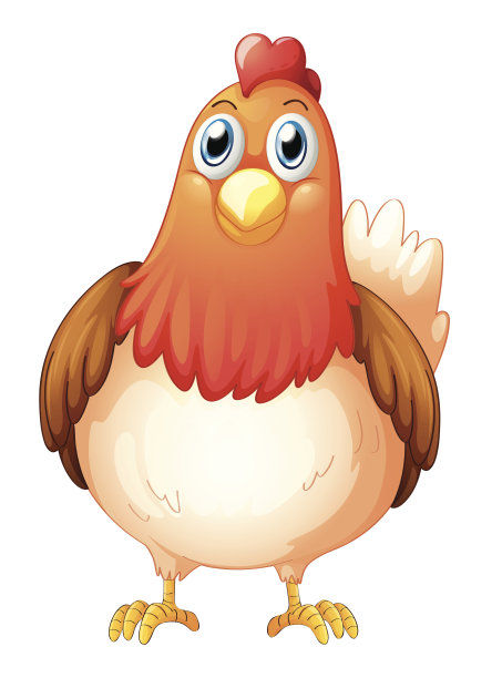 大胖母鸡图片下载