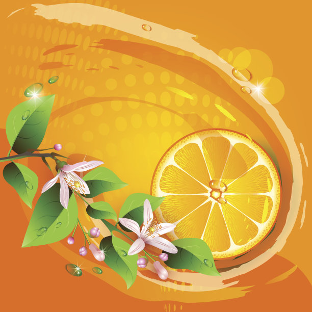 背景是多汁的橙色水果片图片下载