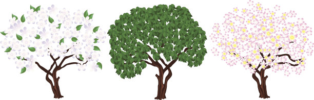 三个树图片下载