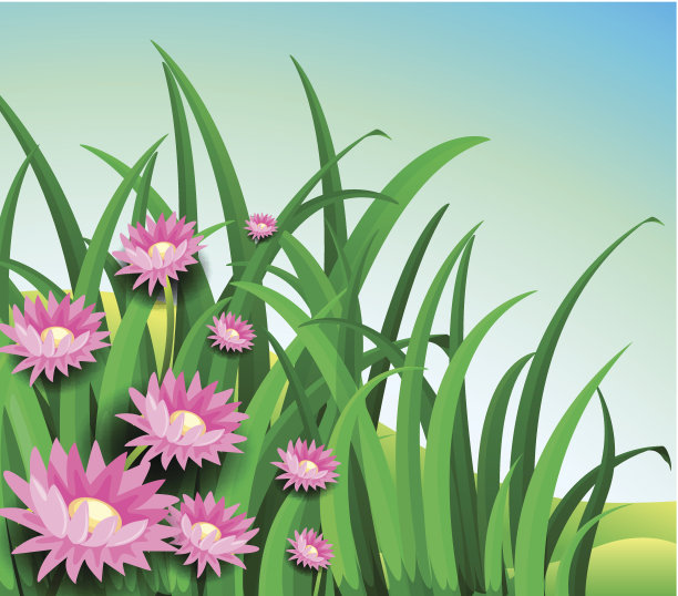雏菊花园图片下载