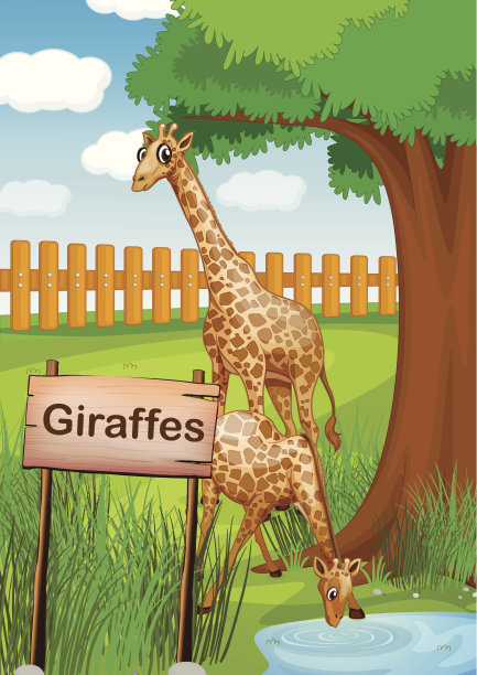 木栅栏里的长颈鹿图片下载