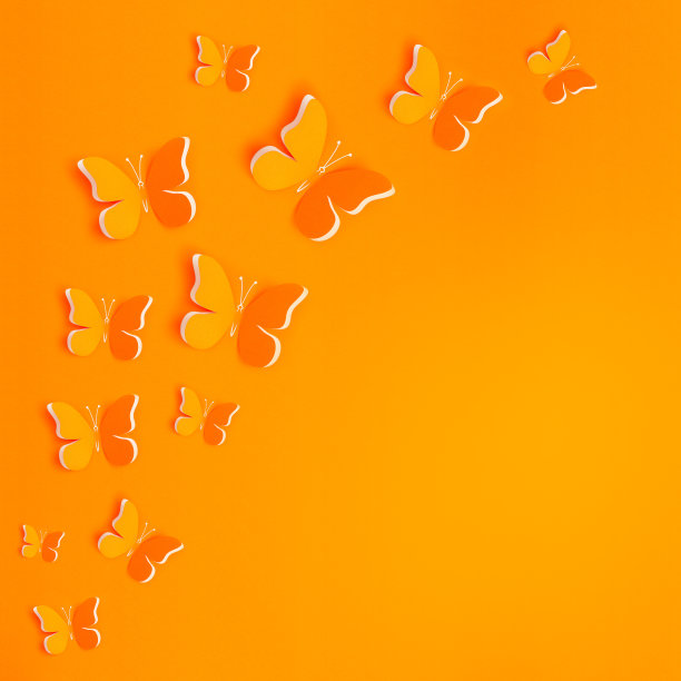 蝴蝶装饰图片下载